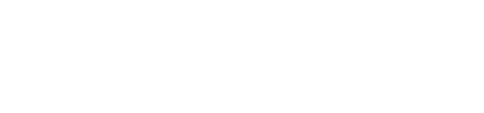 Finish Coat Digital logo